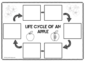 free-printable-apple-life-cycle-printable-worksheets