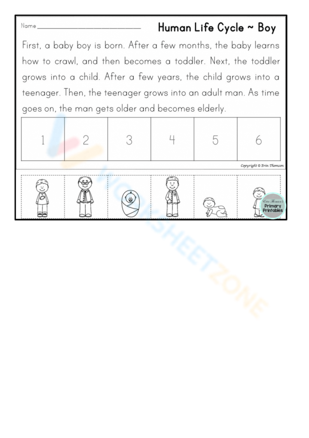 human life cycle printables