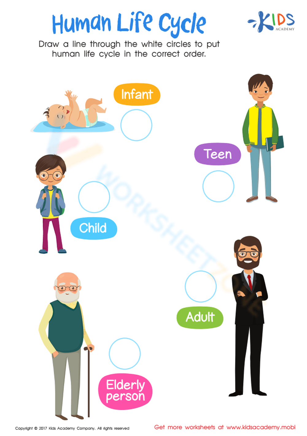 human life cycle printables