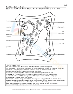 The Plant Cell to Color