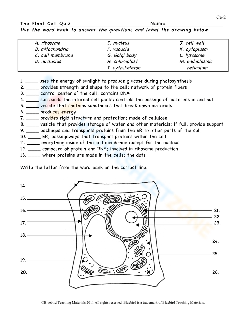 The Plant Cell Quiz