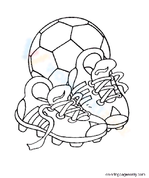 Soccer Shoes And The Ball