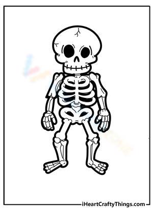 Easy Skeleton Line Art PNG Transparent Images Free Download | Vector Files  | Pngtree
