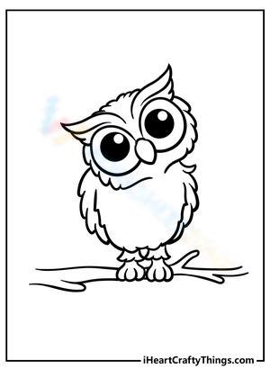 coloring pages of cute owls