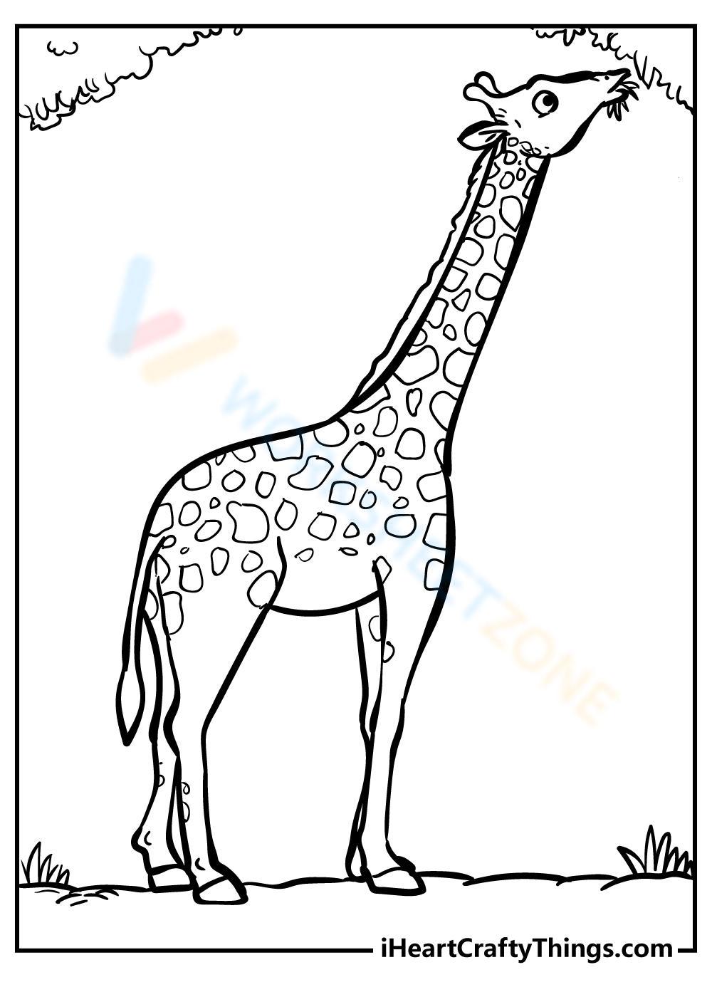 Giraffe Picture Worksheet