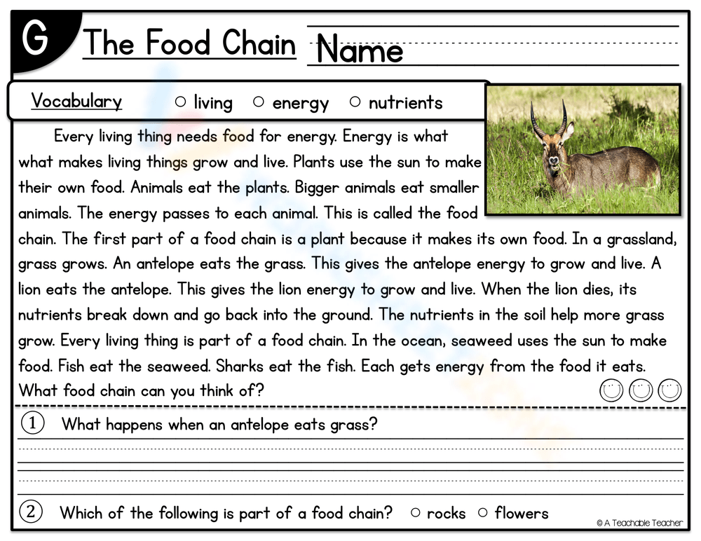 The Food Chain Worksheet Biology Diagrams