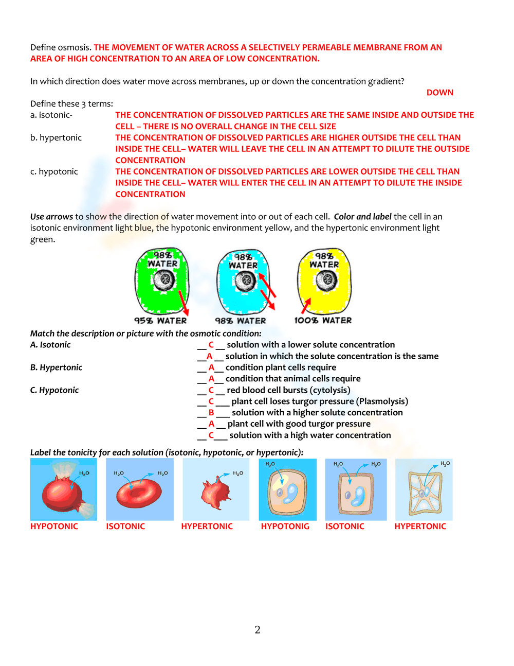 plasma membrane labeling worksheet