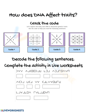 How DNA effects traits?