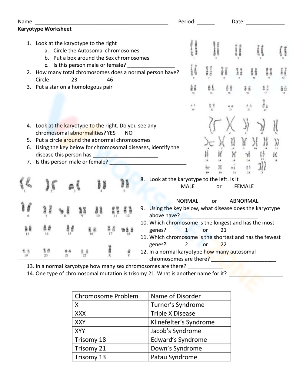 Aasa dadasfda asdasdasd asdasd sadas sda worksheet