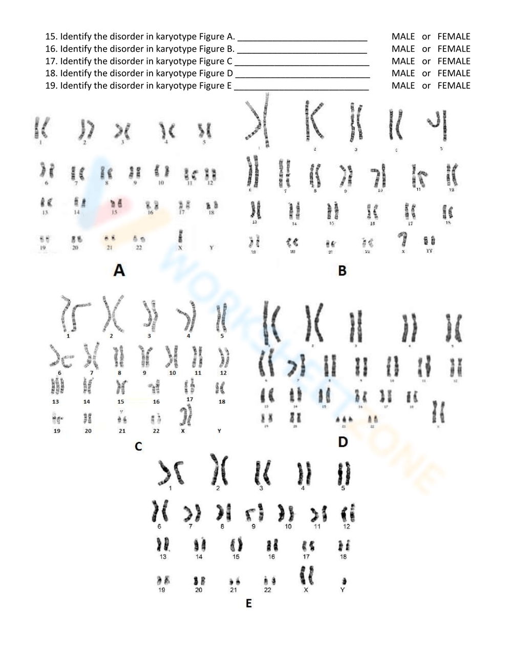 Aasa dadasfda asdasdasd asdasd sadas sda worksheet