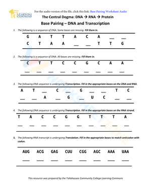 complementary base pairing rna