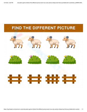 Find the different picture