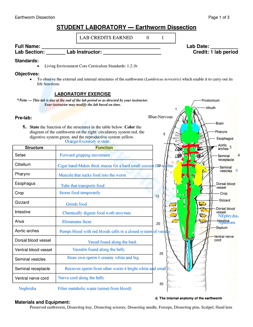 STUDENT LABORATORY-Earthworm Dissection Worksheet