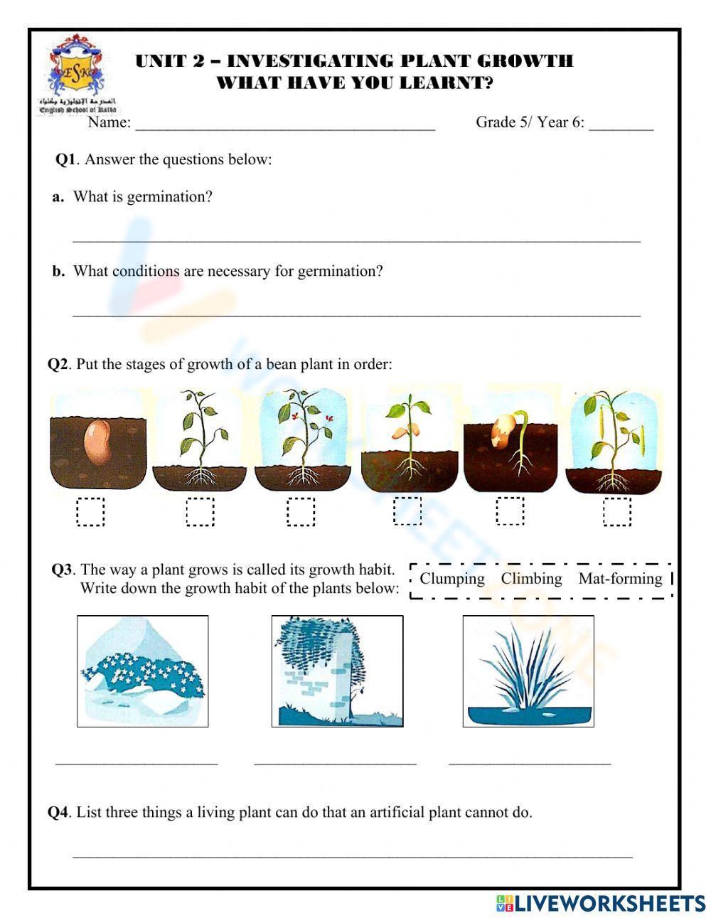 seeds growing into plants worksheet