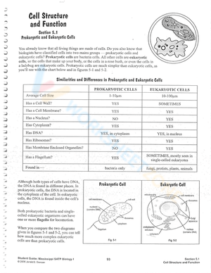 Explore Cell Structure and Function Worksheets