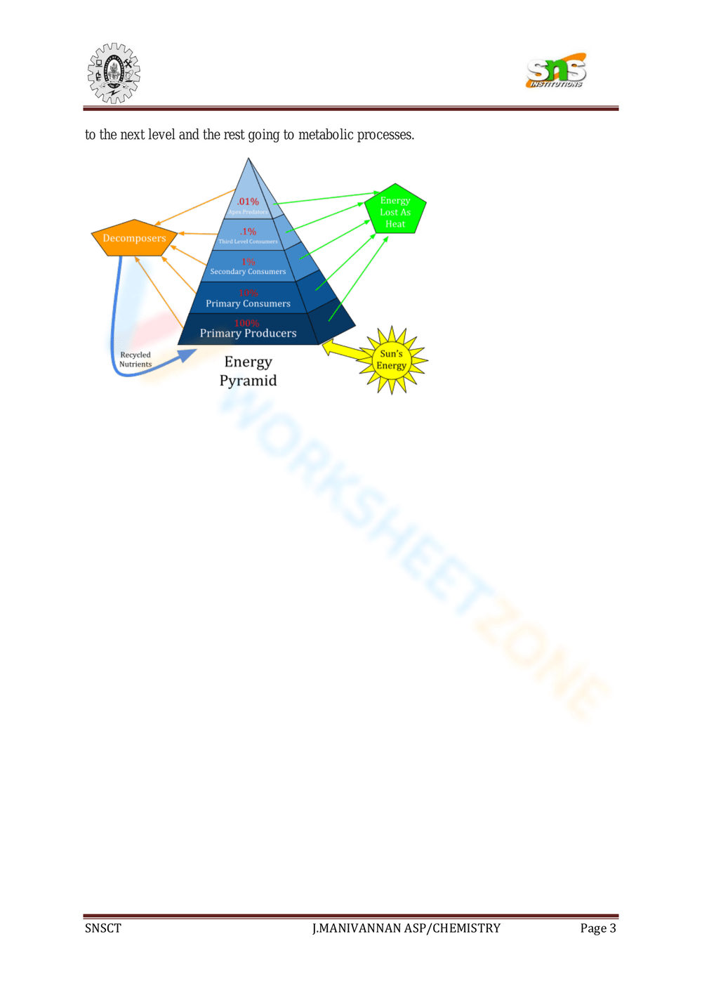 Ecological pyramid 