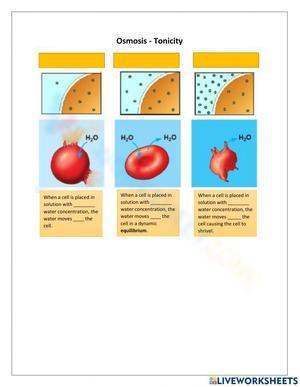 Osmosis and tonicity worksheets