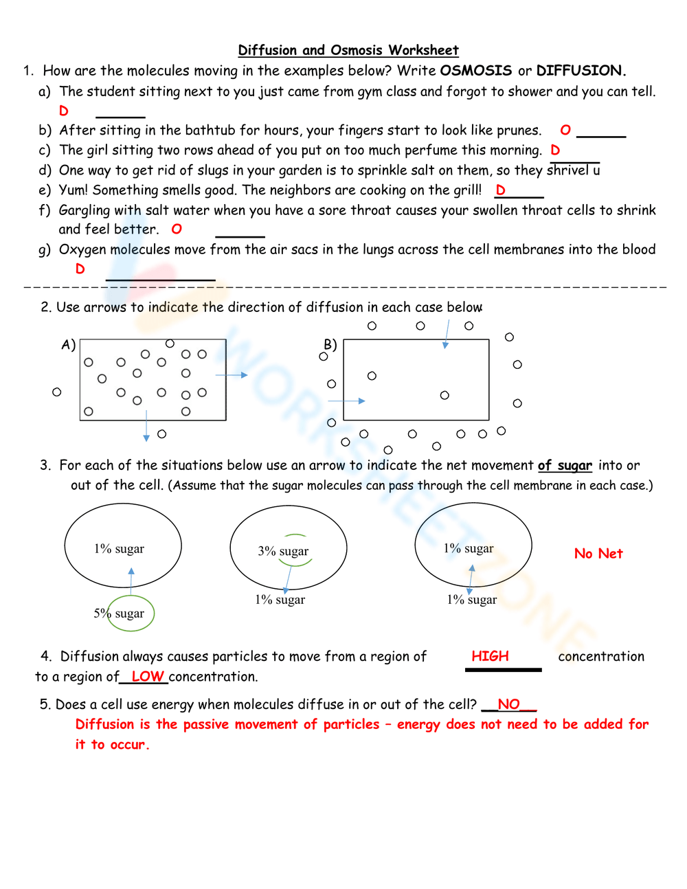 Free Collection of Diffusion and Osmosis Worksheets