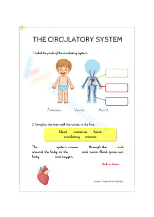 Circulatory System Hangman Game