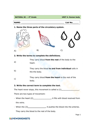 Circulatory System Hangman Game