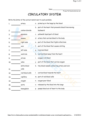 Circulatory System Hangman Game