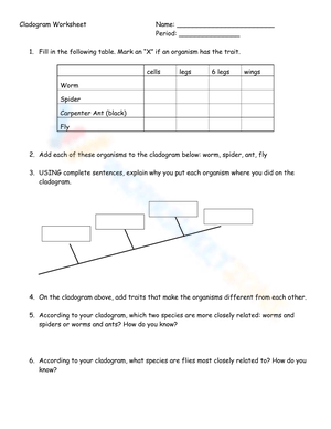 cladogram worksheet