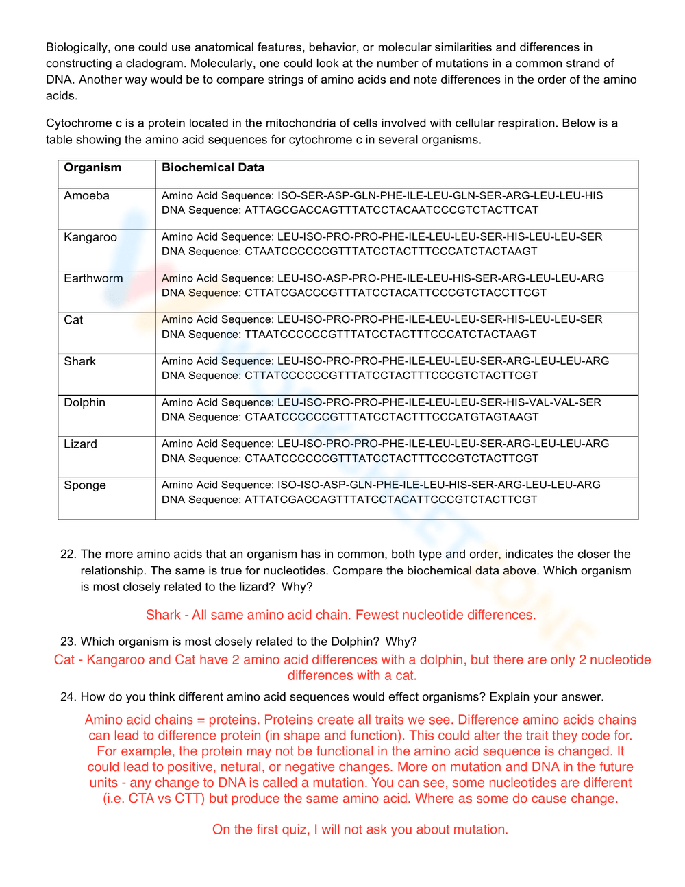 cladogram worksheet