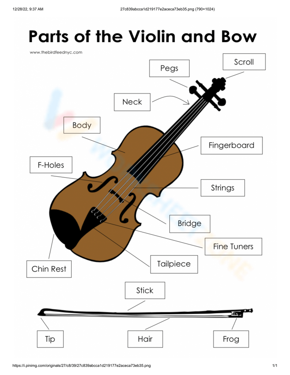 Free Printable Parts Of The Violin Worksheets