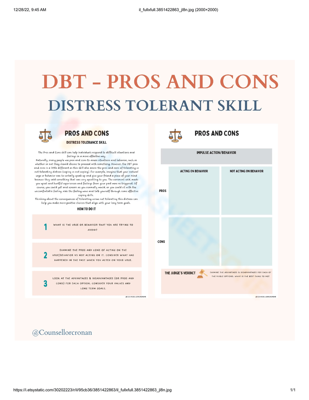 Dbt Pros And Cons Worksheets