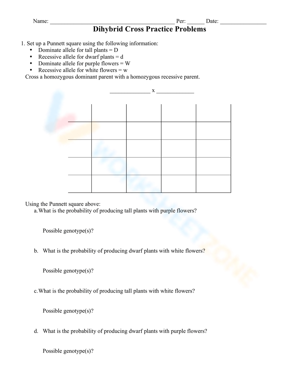 dihybrid cross punnett square worksheet