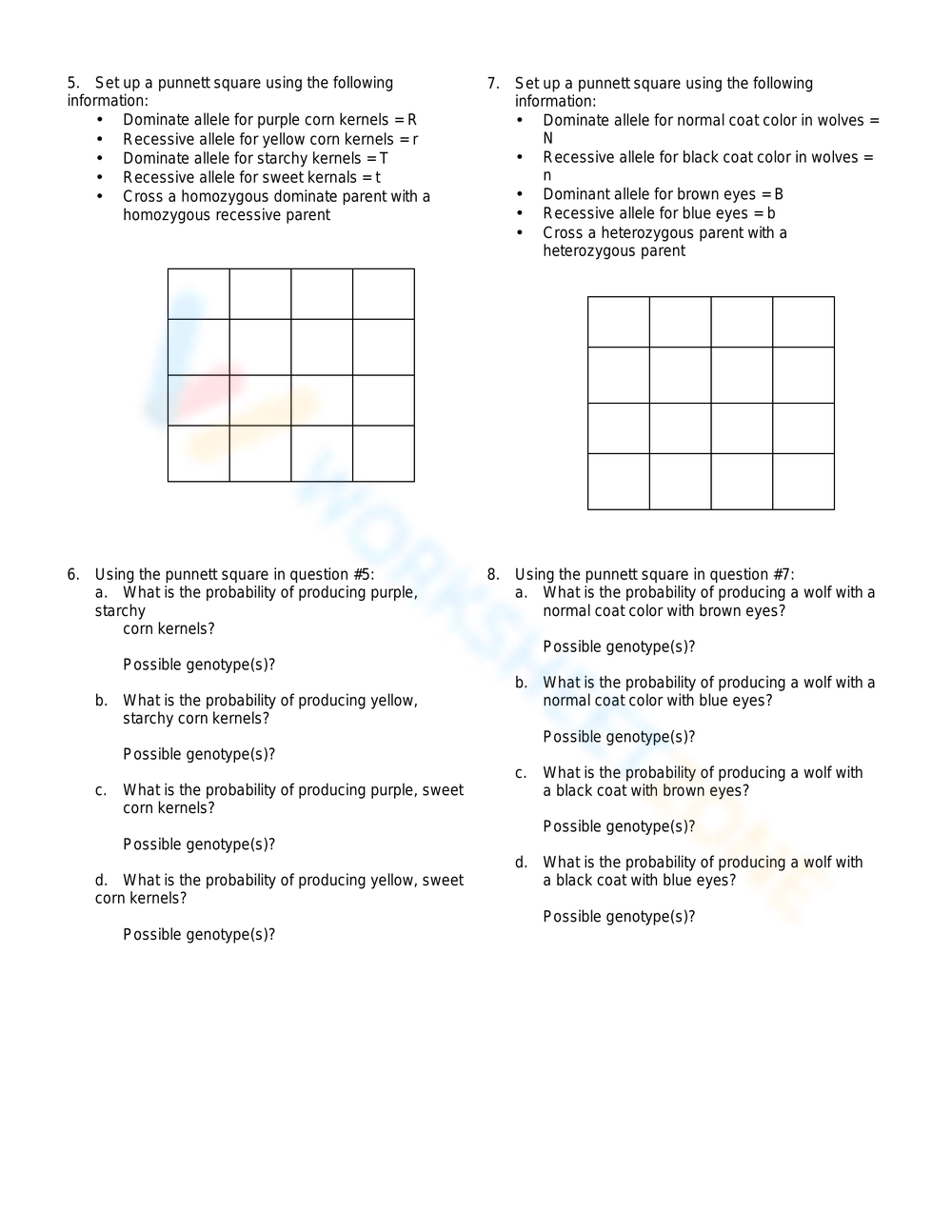 dihybrid cross punnett square worksheet