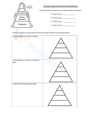 Energy Pyramid worksheets Energy Pyramid worksheets