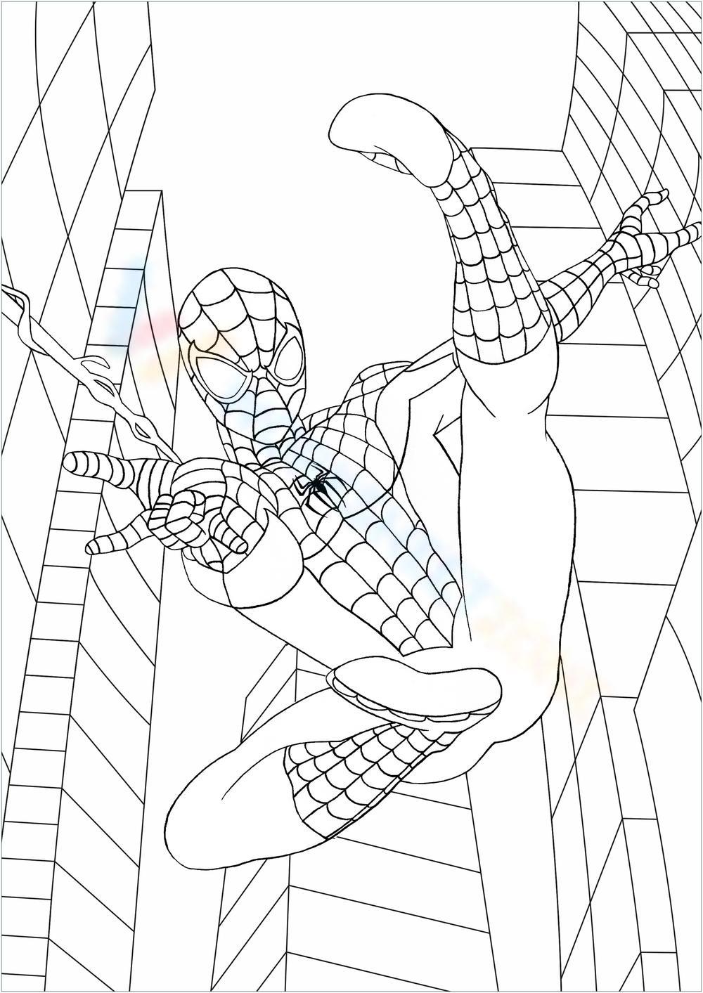 Free Printable Spiderman Coloring Pages for Kids