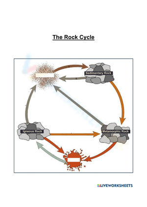 Rock Cycle Diagram worksheets