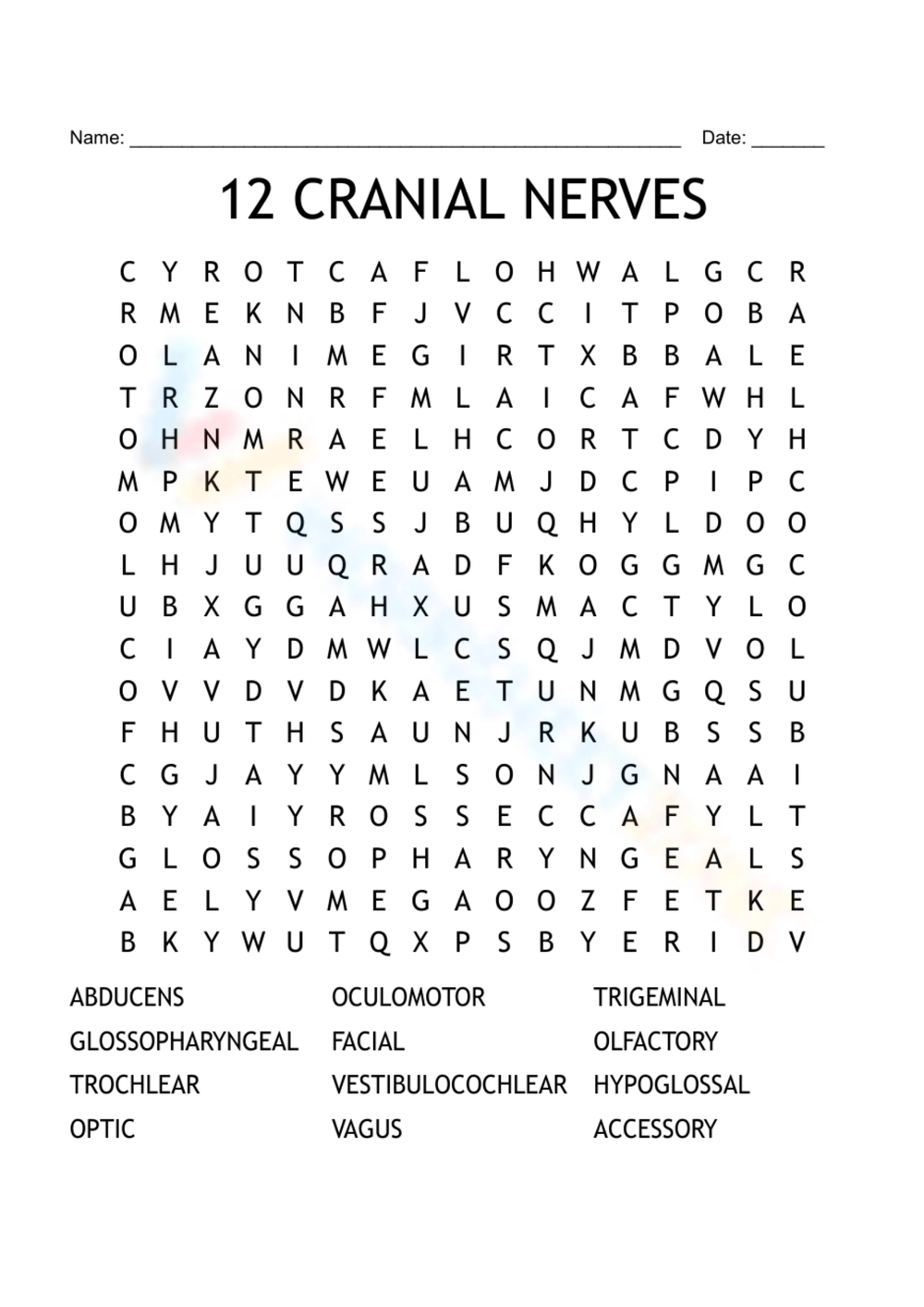 12 cranial nerve wordsearch