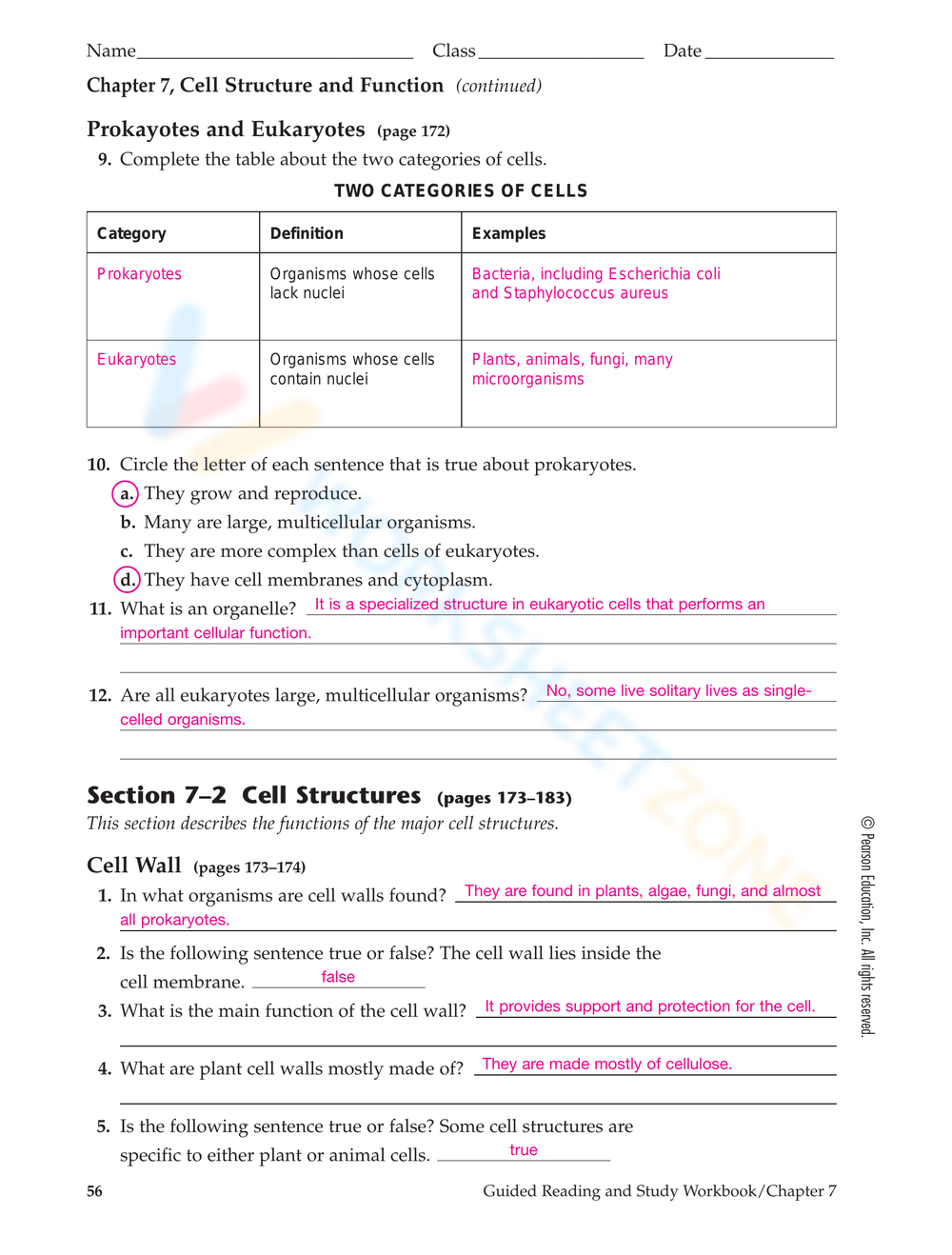 Cell Structure And Function Worksheet Answer Key Chapter 7 Oswal