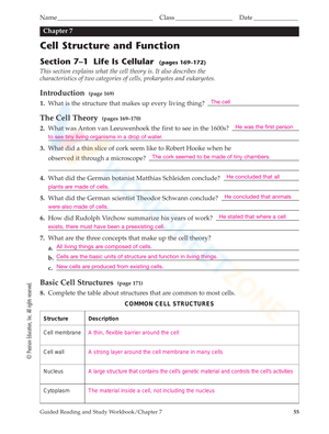 Cell Structure Worksheets Pdf Cell Theory And Cell Structure (8th