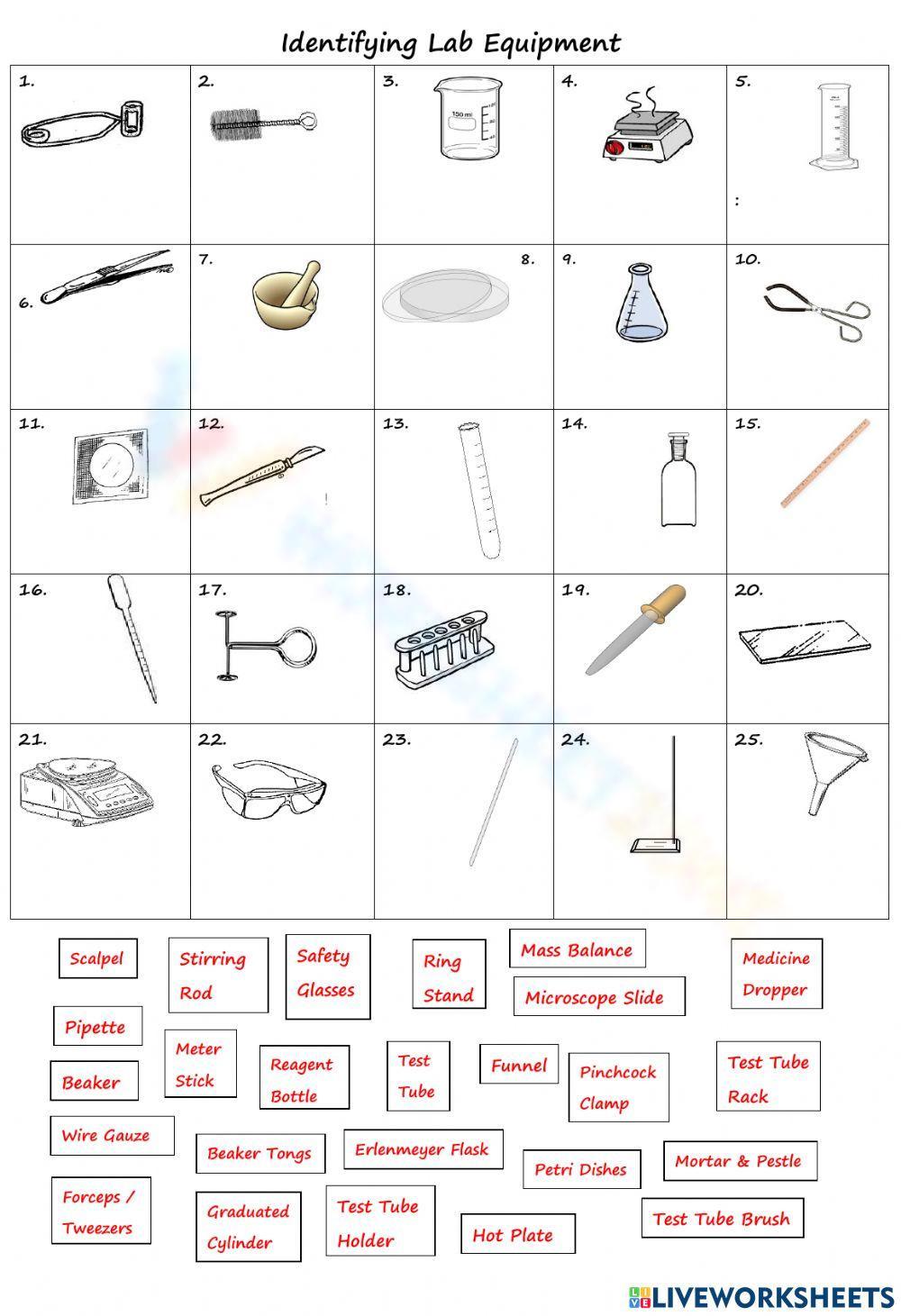 Identifying Lab Equipment Worksheet