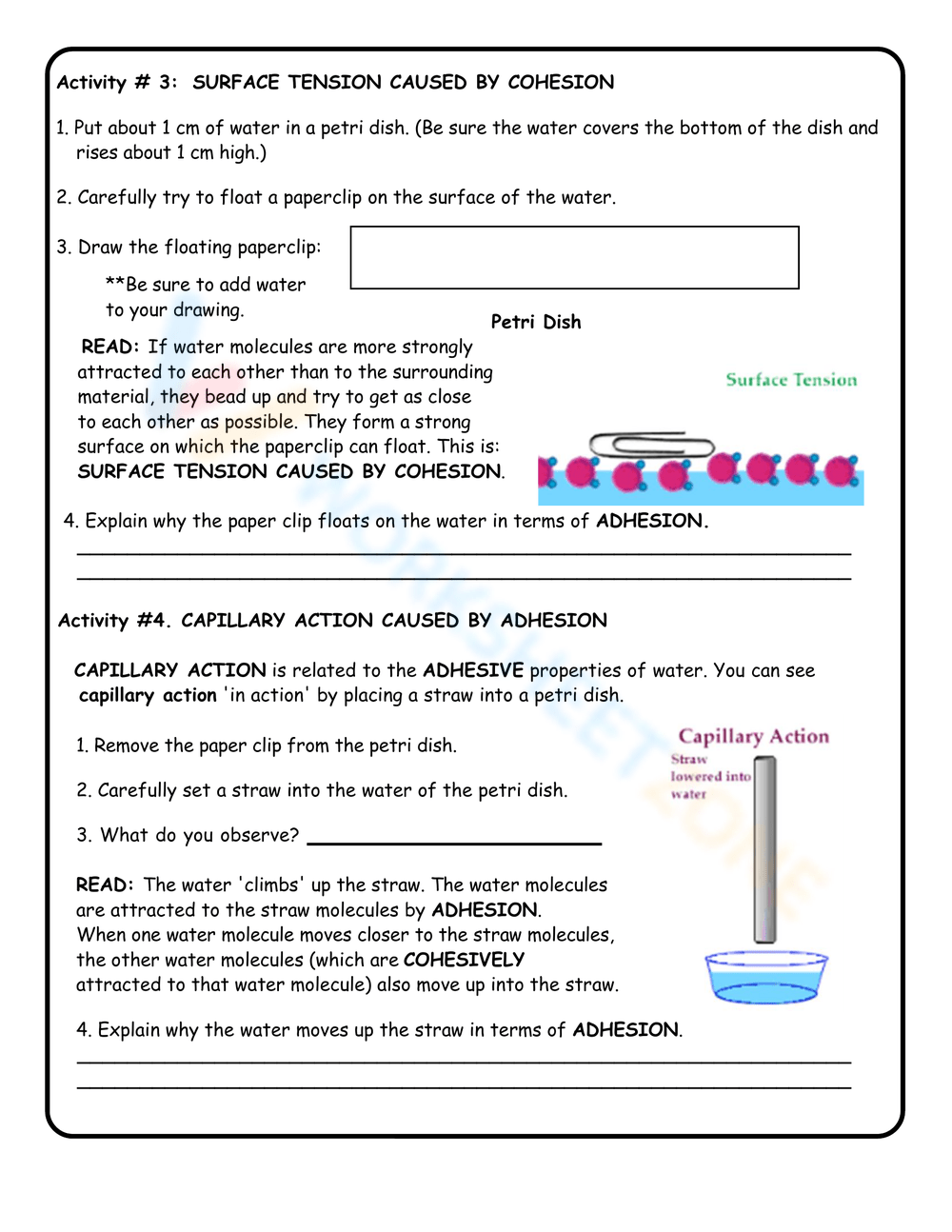 free-printable-properties-of-water-worksheet-collection