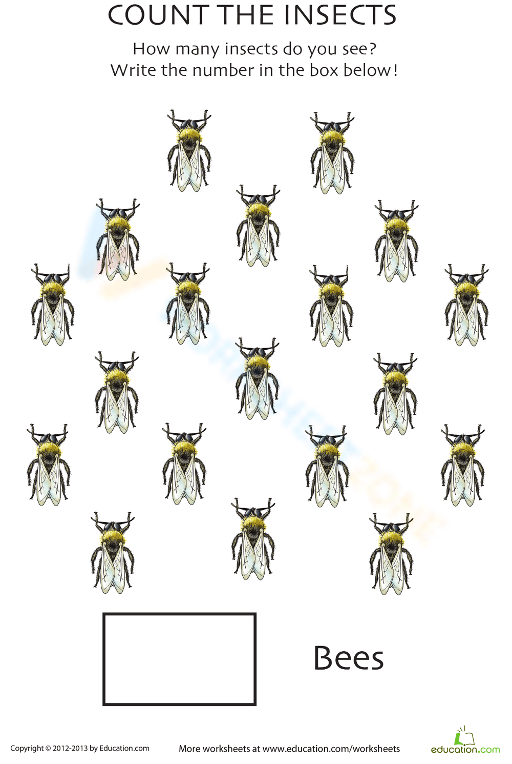 Counting Bees Worksheet