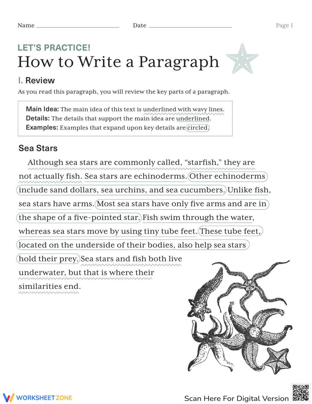 Let s Practice How To Write A Paragraph Worksheet