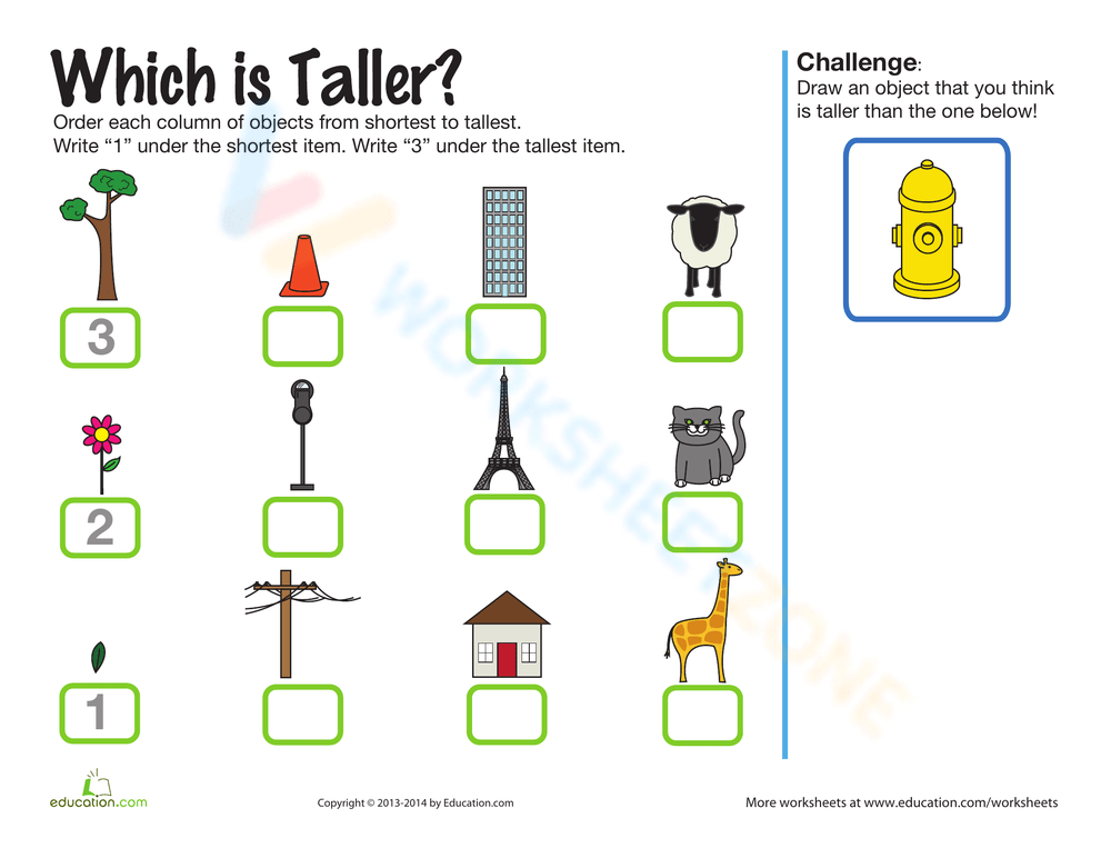 Taller Definition - Activity for Kids to Identify Taller Objects