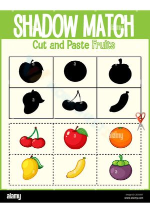 Shadow Match Fruit for Kids