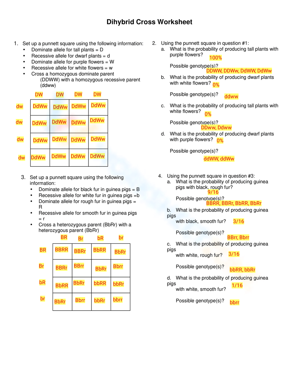 Aasa dadasfda asdasdasd asdasd sadas sda worksheet