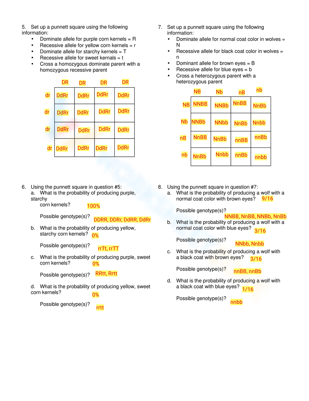 Aasa dadasfda asdasdasd asdasd sadas sda worksheet