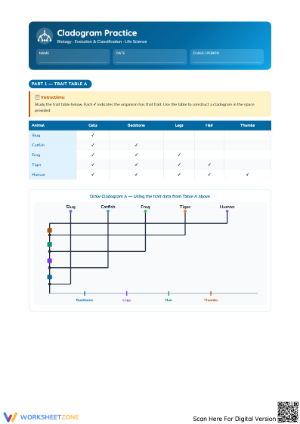 More Cladogram Practice Worksheets