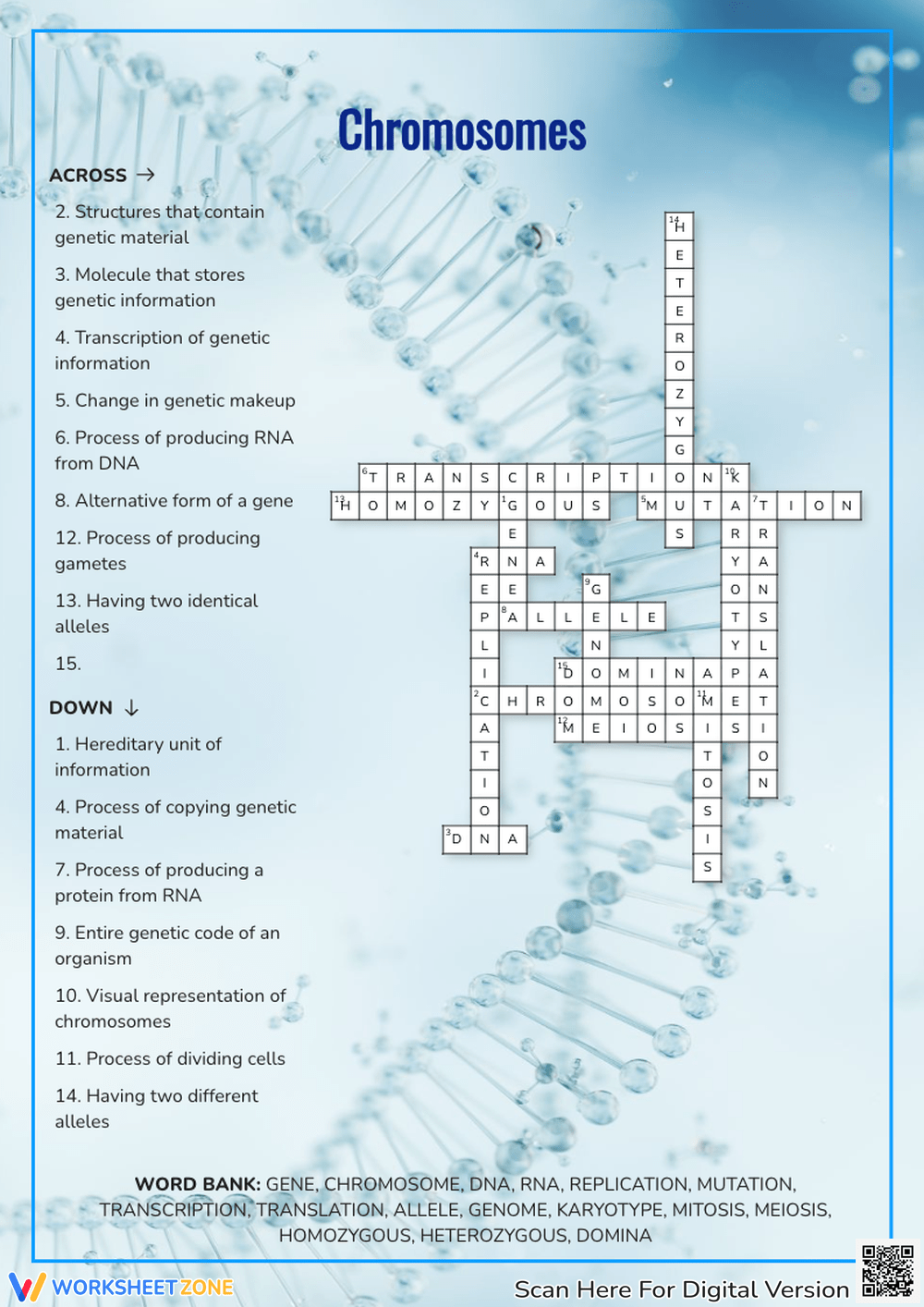 Molecular Makeup Crossword Saubhaya Makeup Molecular Makeup Crossword Saubhaya Makeup