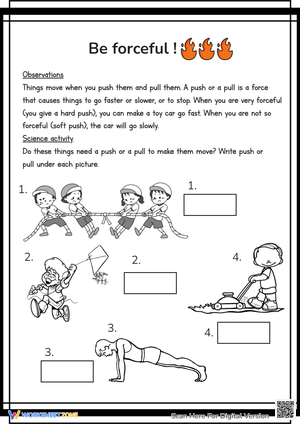 Push and Pull Forces Exploration Worksheets
