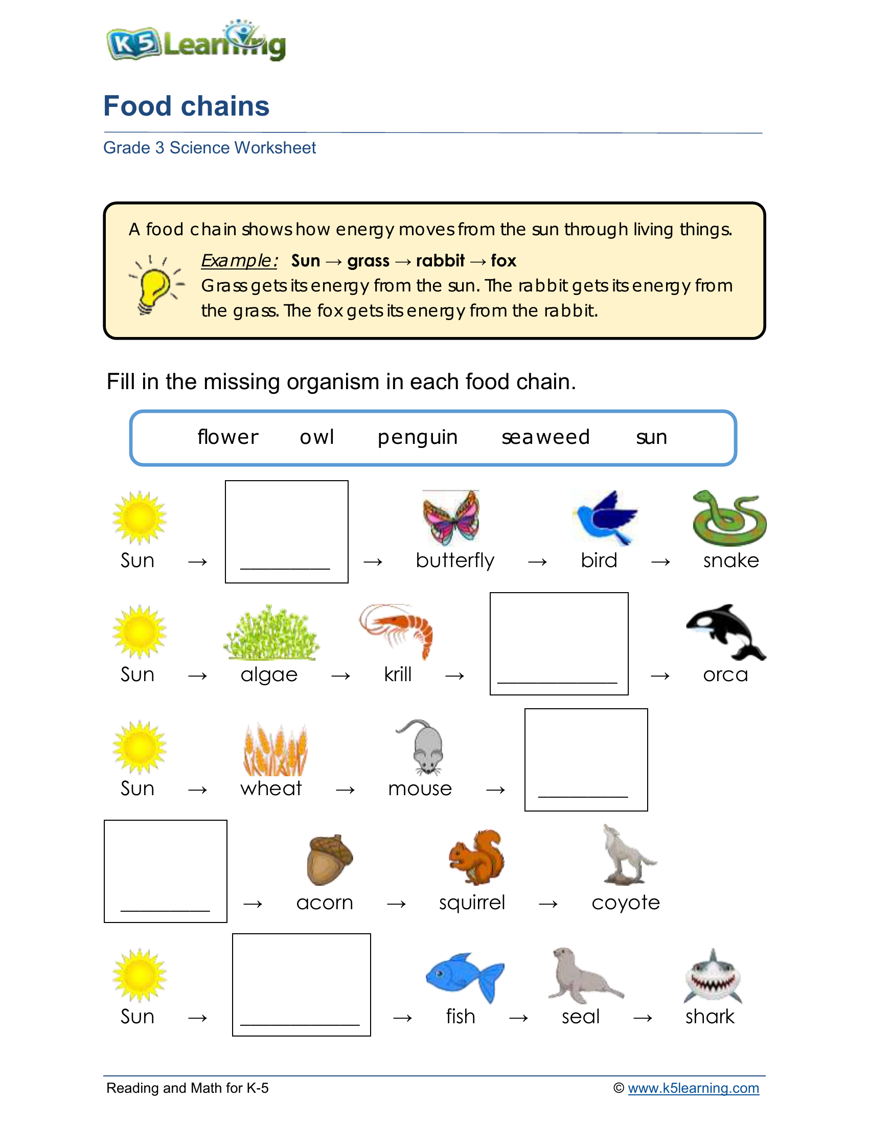 Worksheet Zone Biology Diagrams