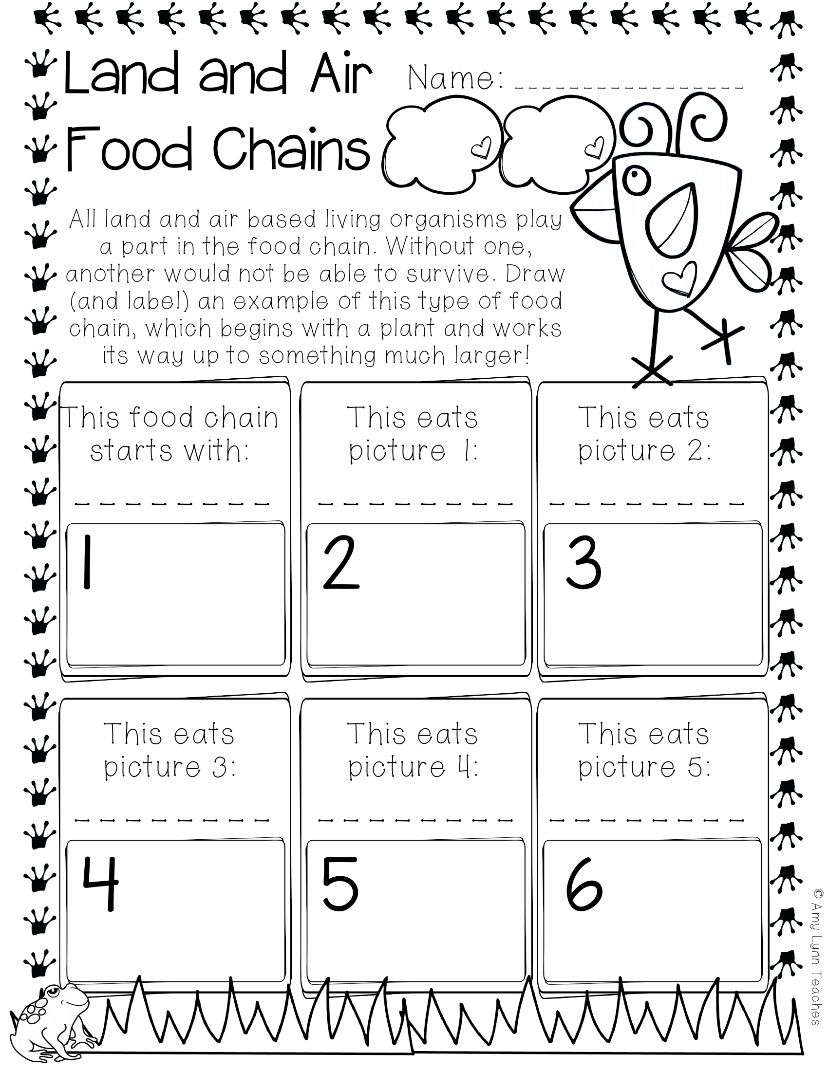 Land and Air Food Chains | Worksheet Zone